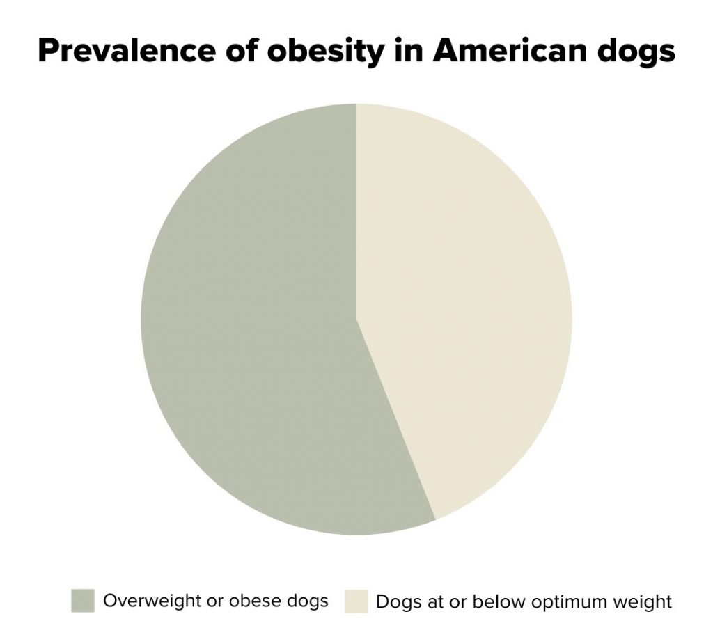 Prevalence of obesity in American dogs