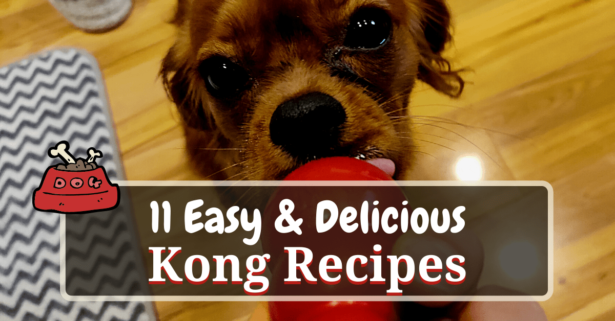 healthy frozen kong recipes