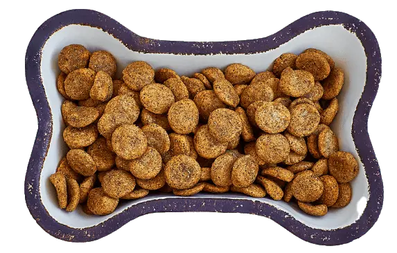 dog food bowl of dry food