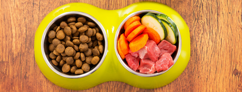 dry dog food and ingredients