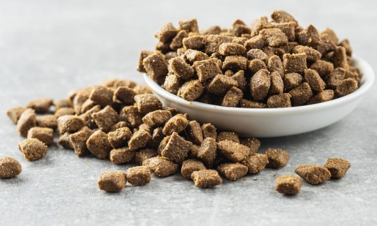 recall on kibbles and bits dog food