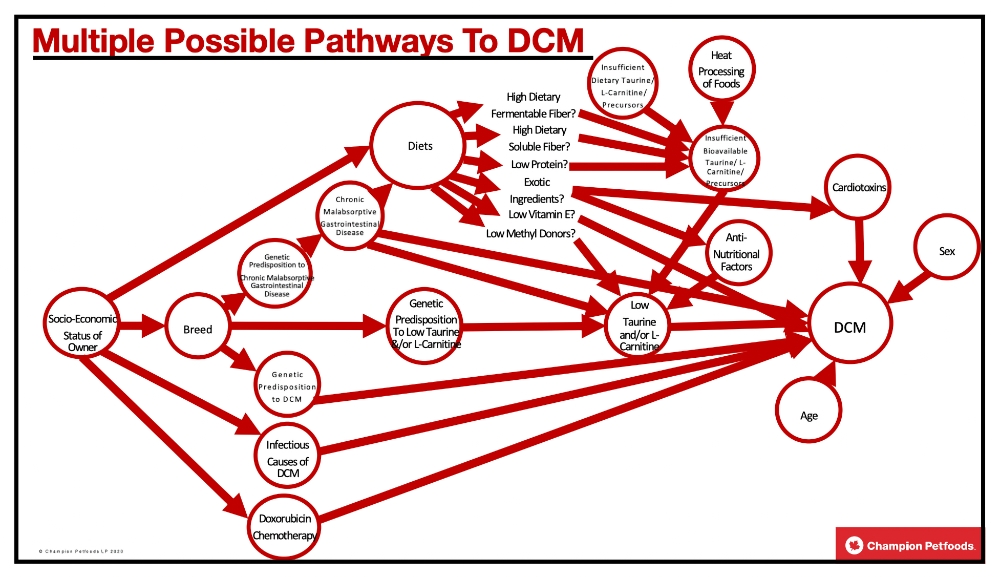 multiple possible pathways to dcm