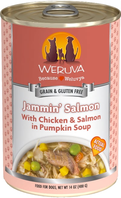 Weruva Jammin' Salmon Chicken Soup